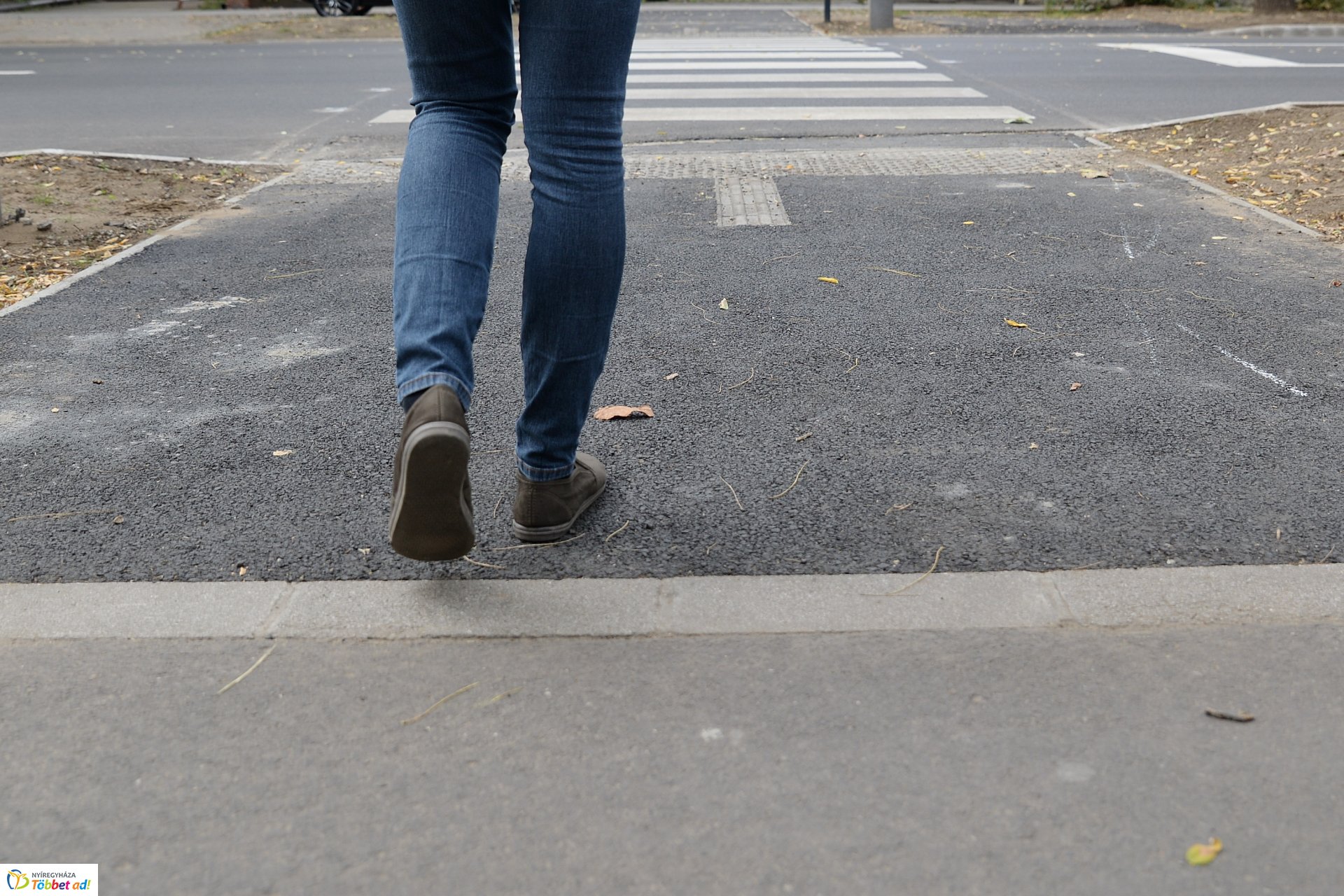 Okos zebra a Bethlen Gábor utcán