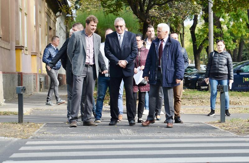 Okos zebra a Bethlen Gábor utcán