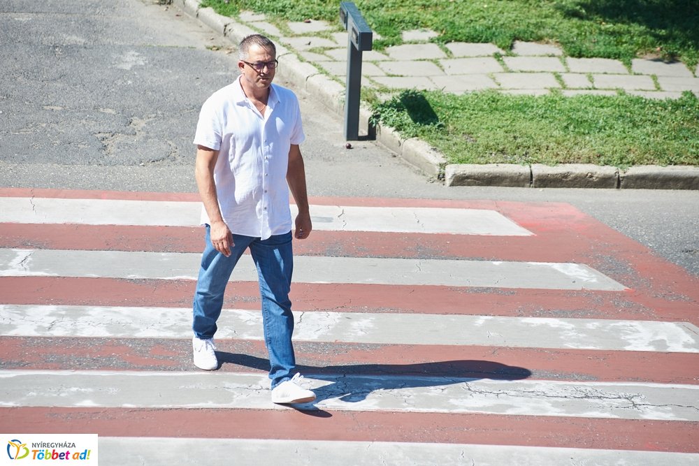 Okos-zebra a Kálvin téren