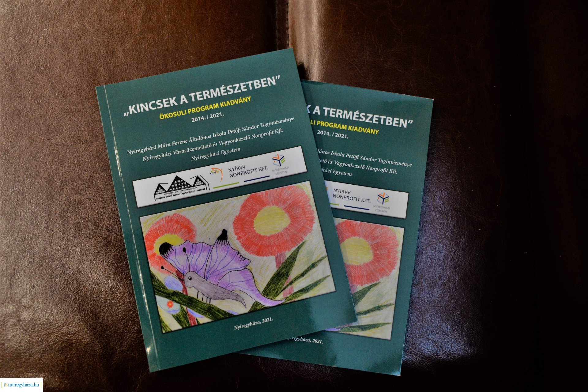 Ökosuli program konferencia a Nyíregyházi Egyetemen