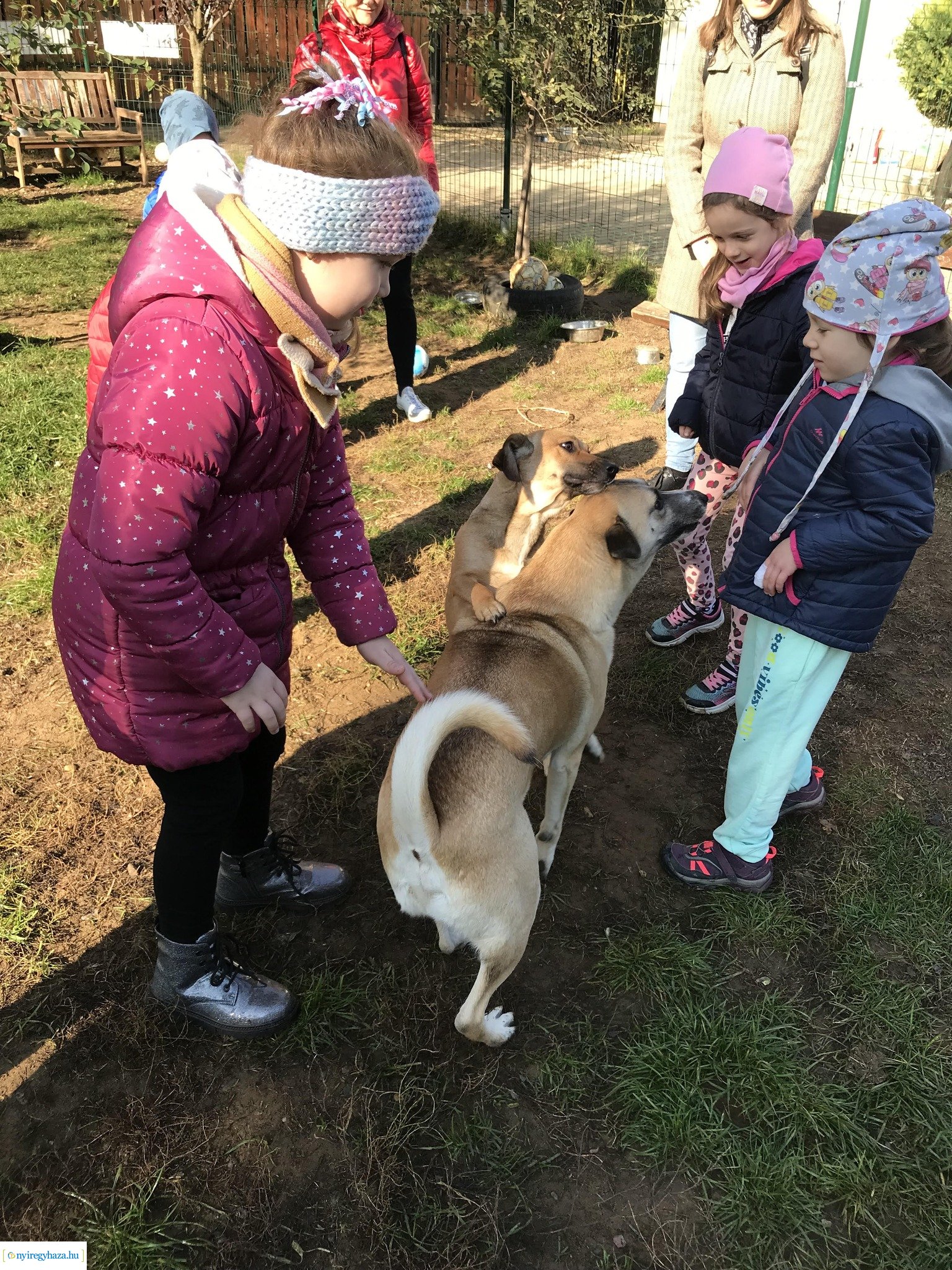 Októberben a Búzaszem Nyugati Óvoda Városmajori Tagintézménye is bekapcsolódott a #TeAdományozz! országos kezdeményezésbe
