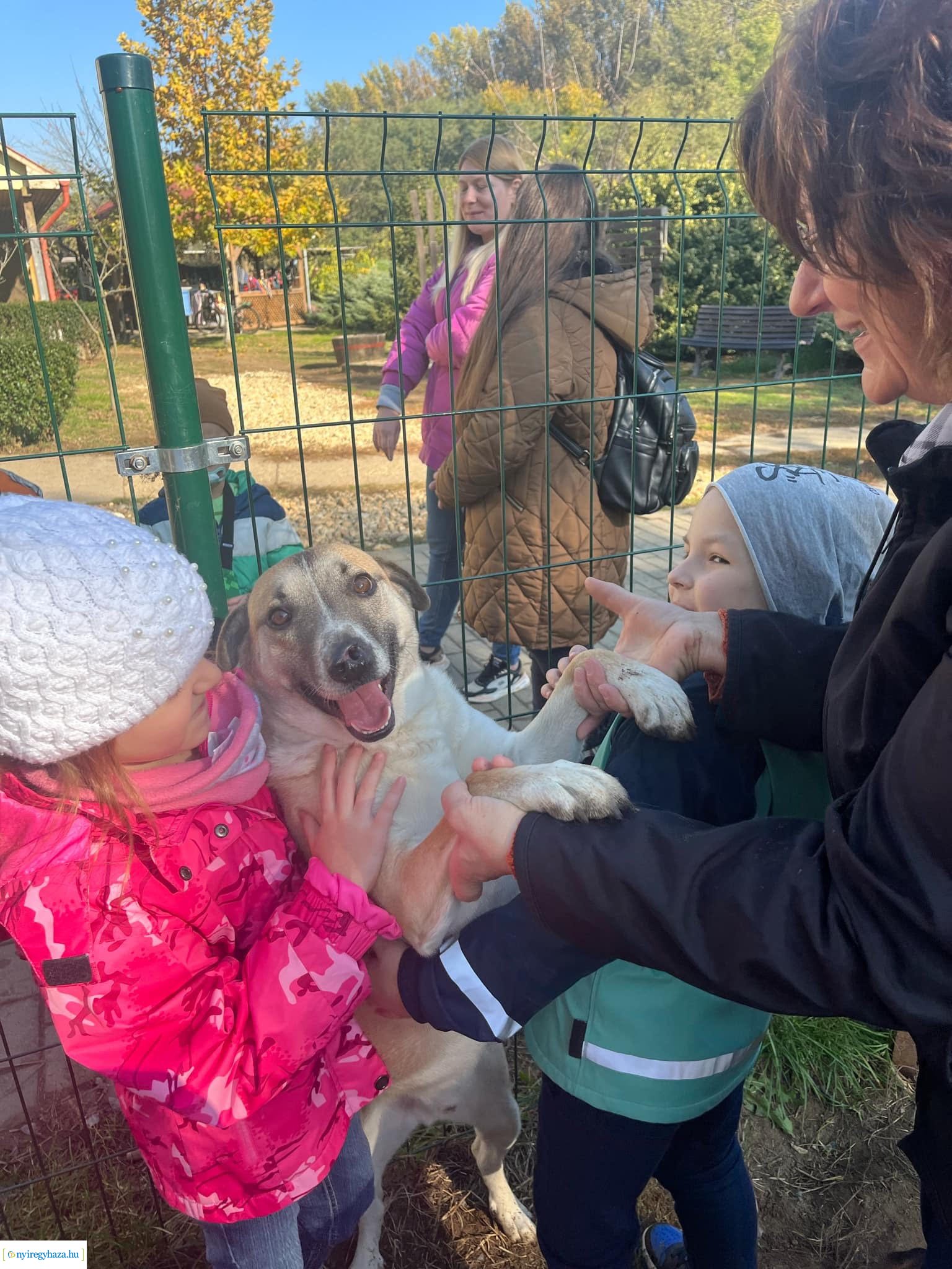 Októberben a Búzaszem Nyugati Óvoda Városmajori Tagintézménye is bekapcsolódott a #TeAdományozz! országos kezdeményezésbe