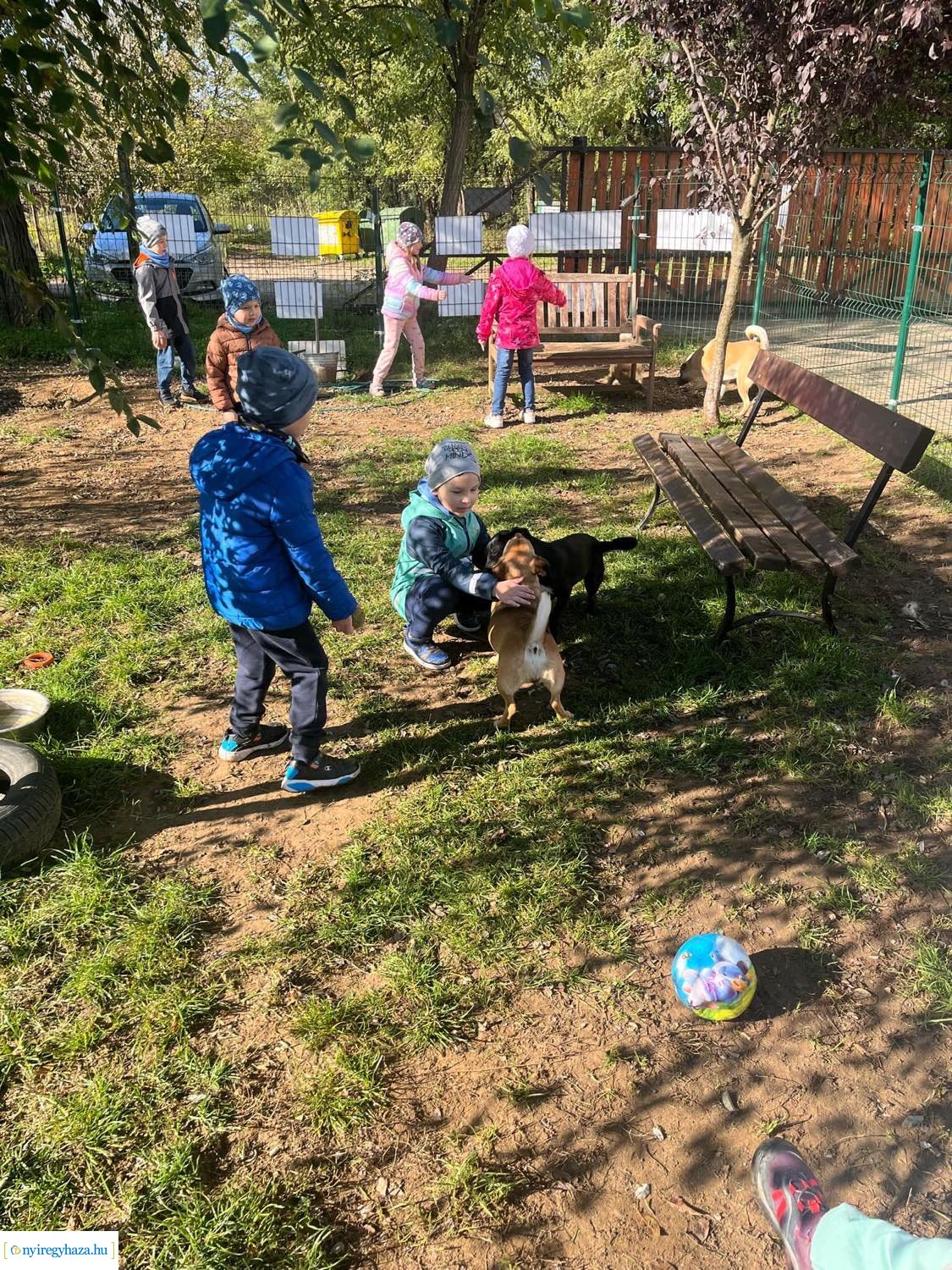 Októberben a Búzaszem Nyugati Óvoda Városmajori Tagintézménye is bekapcsolódott a #TeAdományozz! országos kezdeményezésbe