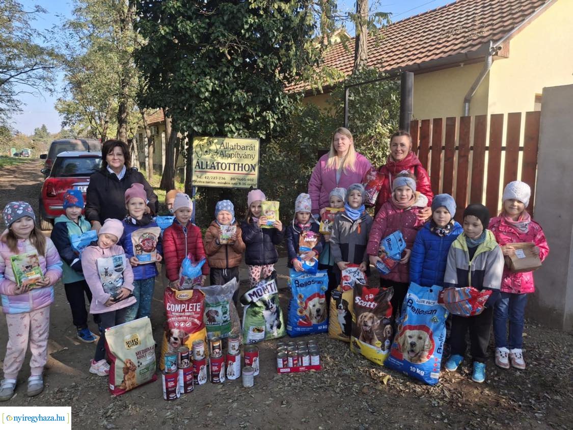 Októberben a Búzaszem Nyugati Óvoda Városmajori Tagintézménye is bekapcsolódott a #TeAdományozz! országos kezdeményezésbe
