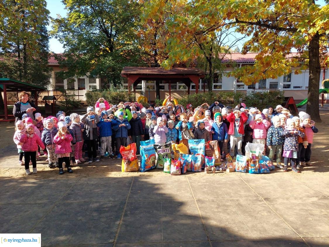 Októberben a Búzaszem Nyugati Óvoda Városmajori Tagintézménye is bekapcsolódott a #TeAdományozz! országos kezdeményezésbe