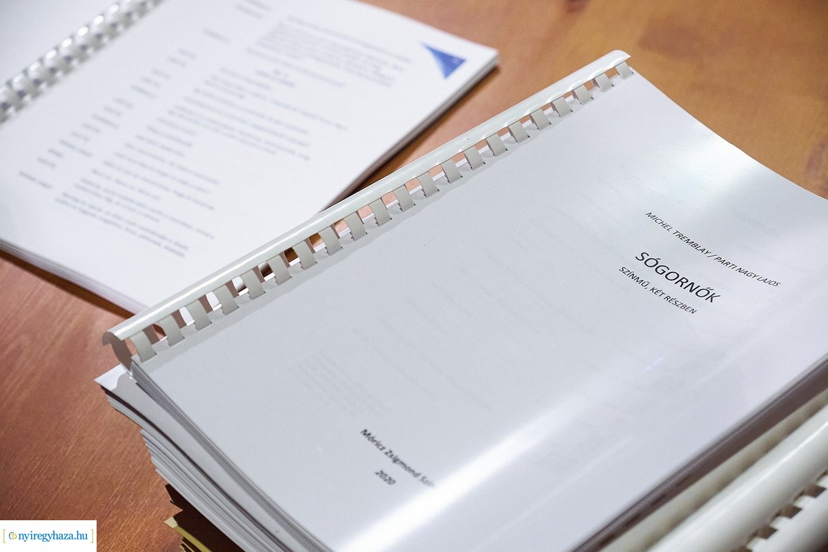 Olvasópróba - Sógornők