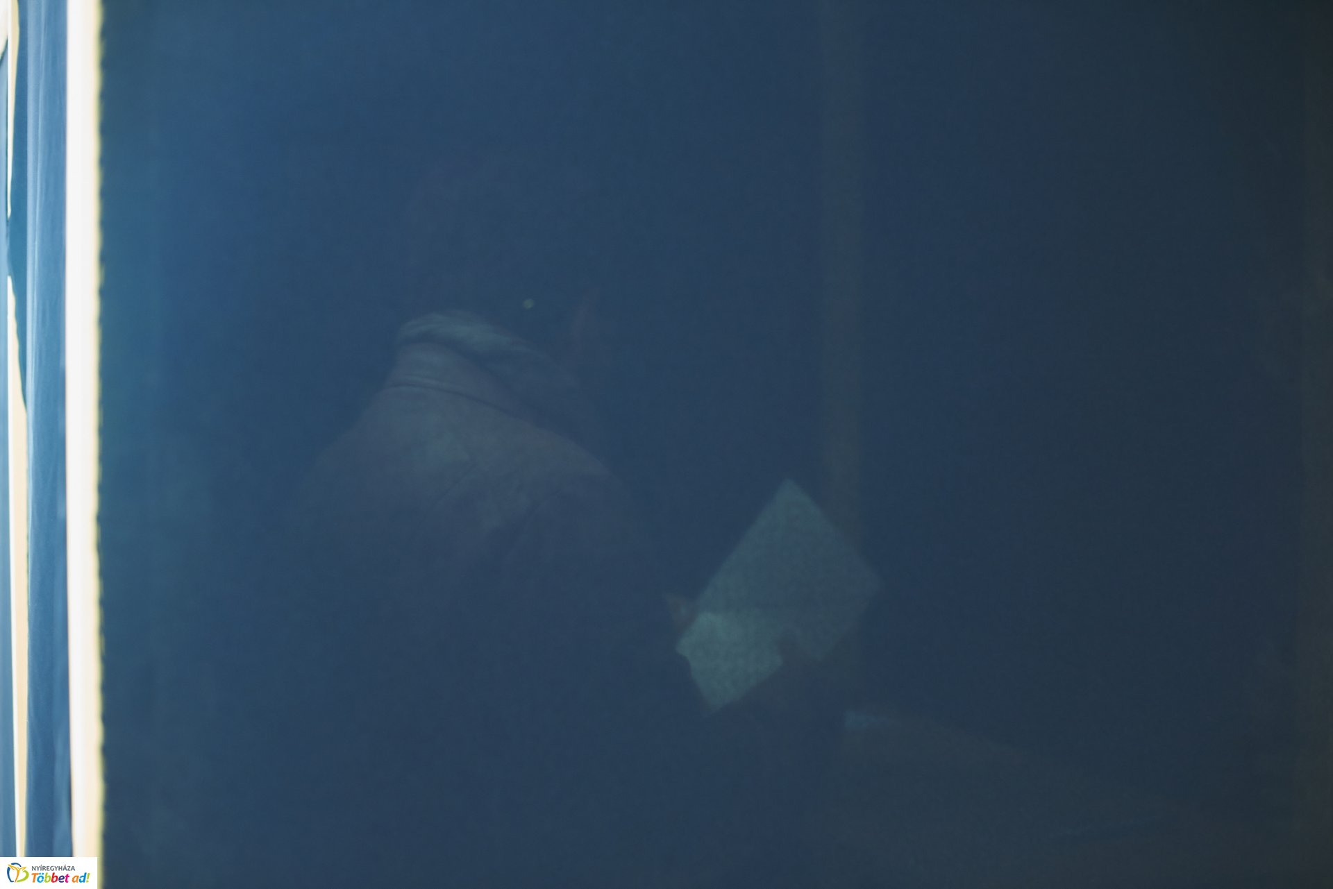 Önkormányzati Választás 2019 2