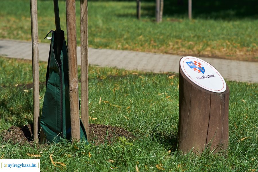 Öntözőzsákok Sóstón