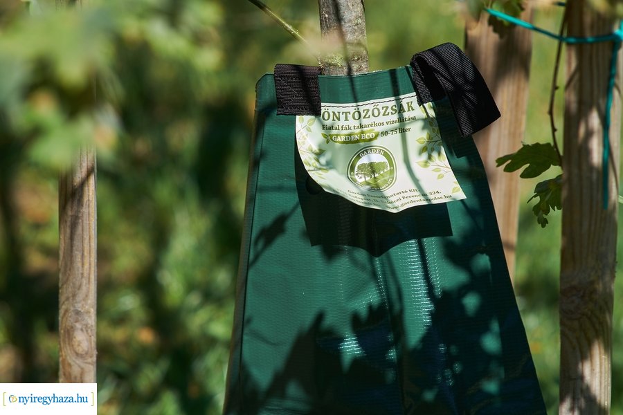 Öntözőzsákok Sóstón