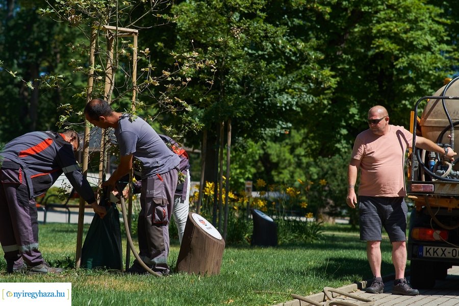 Öntözőzsákok Sóstón