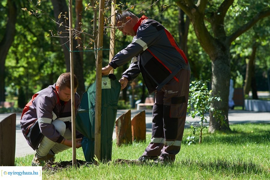 Öntözőzsákok Sóstón