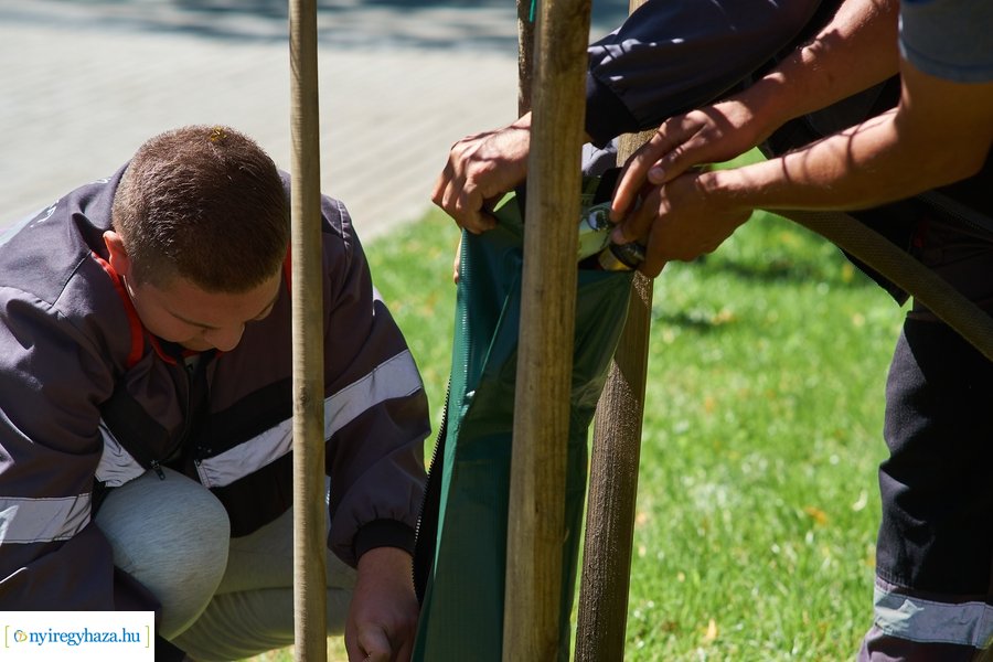 Öntözőzsákok Sóstón