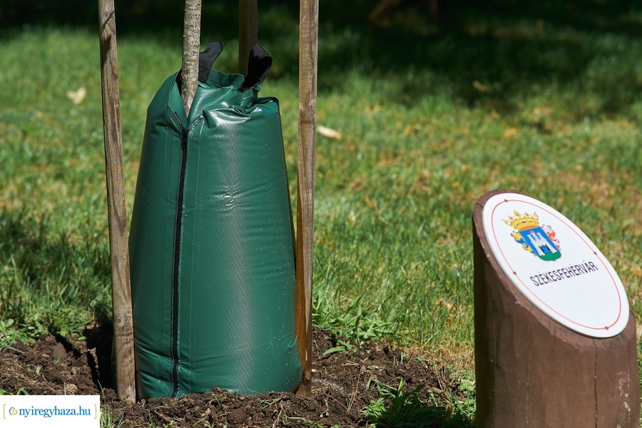 Öntözőzsákok Sóstón