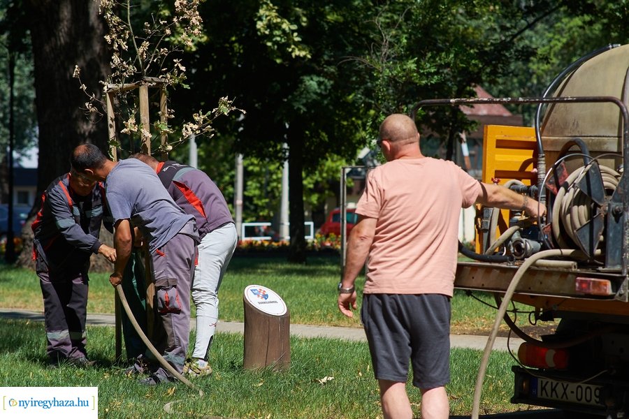 Öntözőzsákok Sóstón