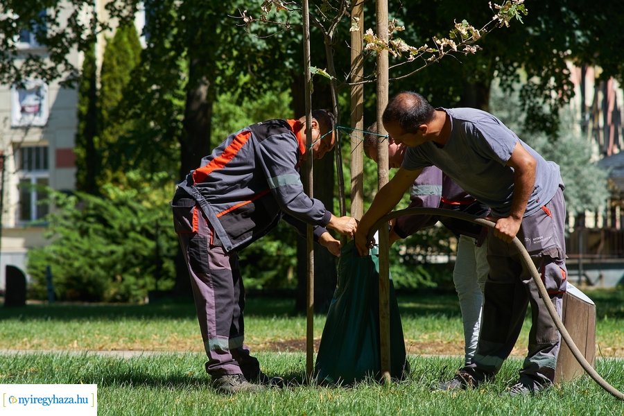 Öntözőzsákok Sóstón