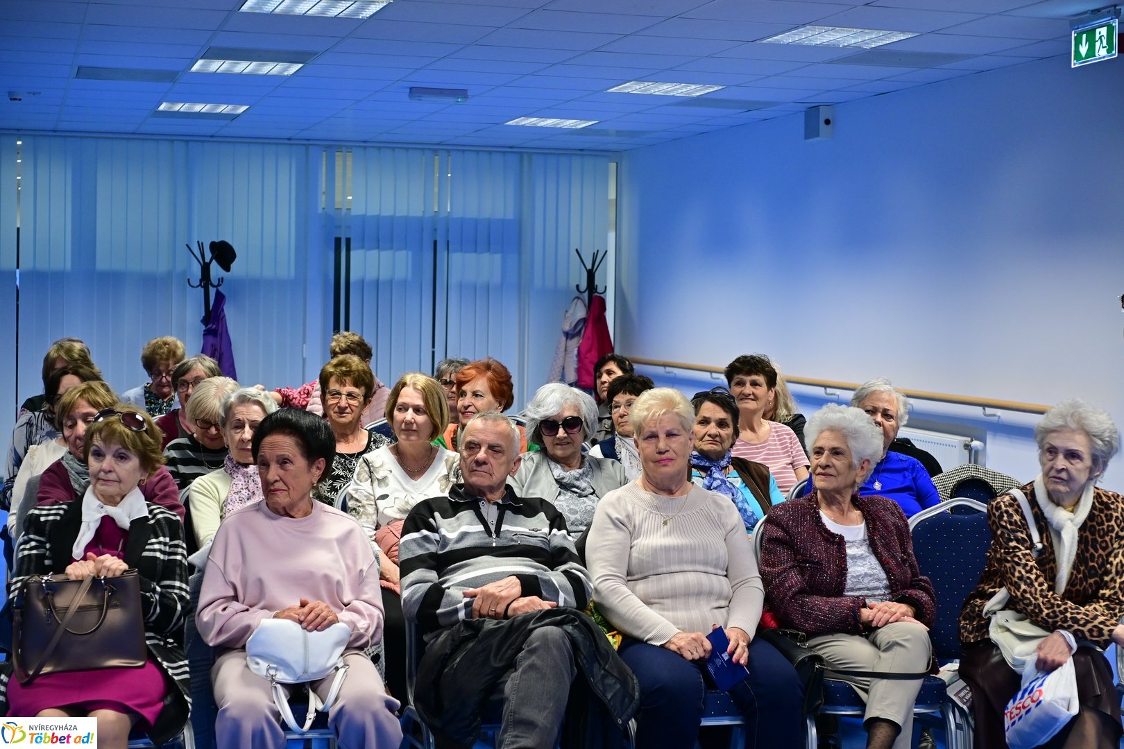 Öregedés Művészete  - 80 éves a forint