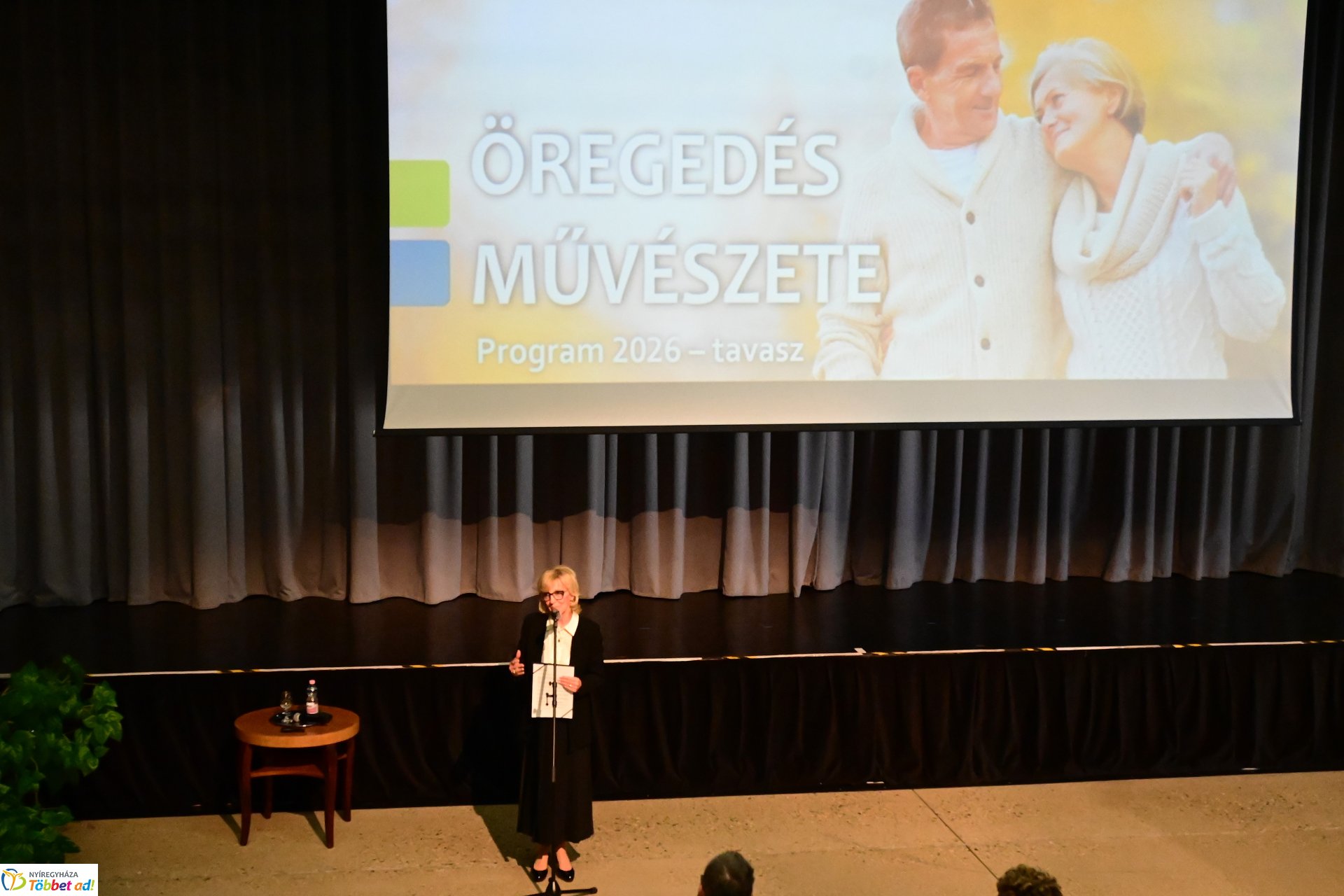 Öregedés művészete - Ilyés Gábor előadása a VMKK-ban