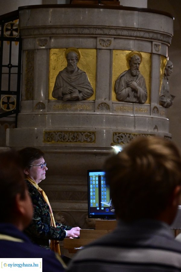 Orgonák éjszakája 2024