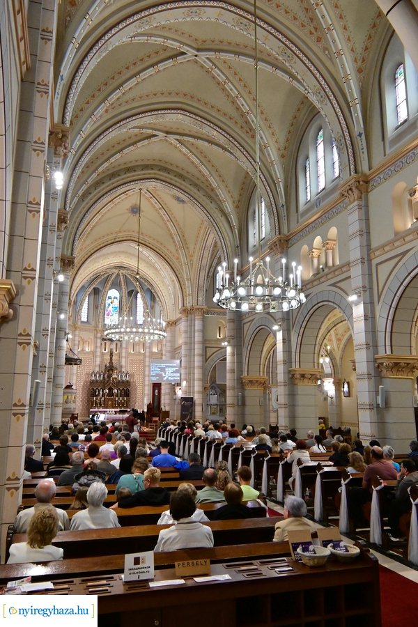 Orgonák éjszakája 2024