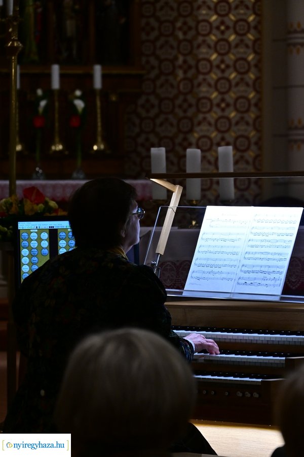 Orgonák éjszakája 2024