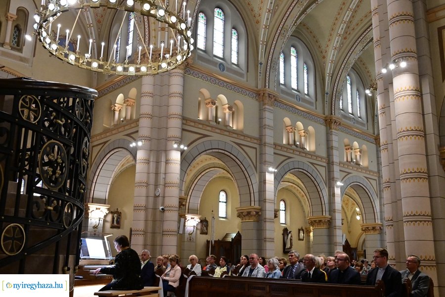 Orgonák éjszakája 2024