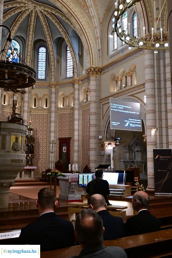 Orgonák éjszakája 2024