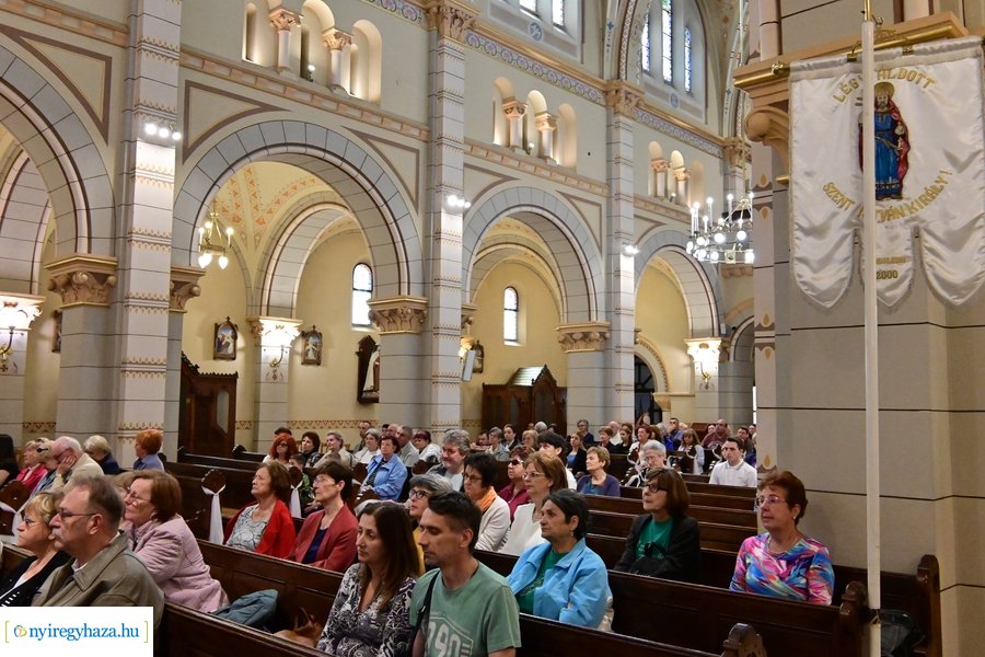 Orgonák éjszakája 2024