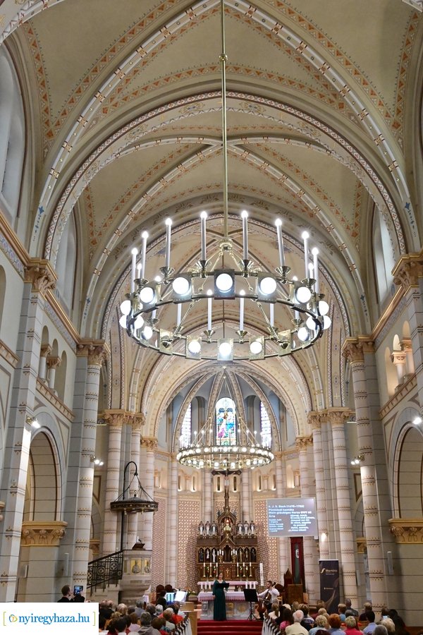 Orgonák éjszakája 2024