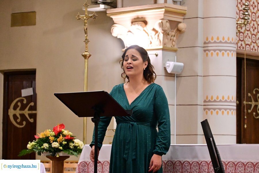 Orgonák éjszakája 2024