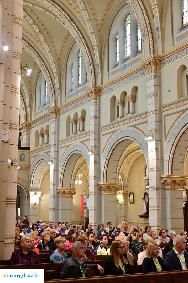 Orgonák éjszakája 2024