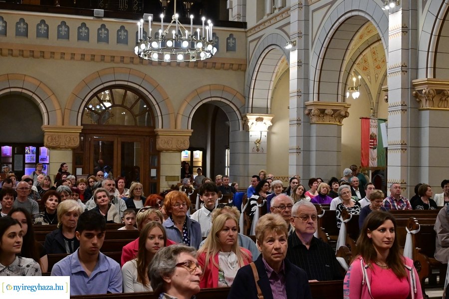 Orgonák éjszakája 2024