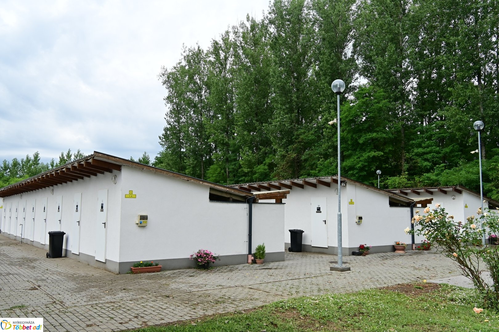 Örökbefogadási nap a gyepmesteri telepen 2025 júliusában