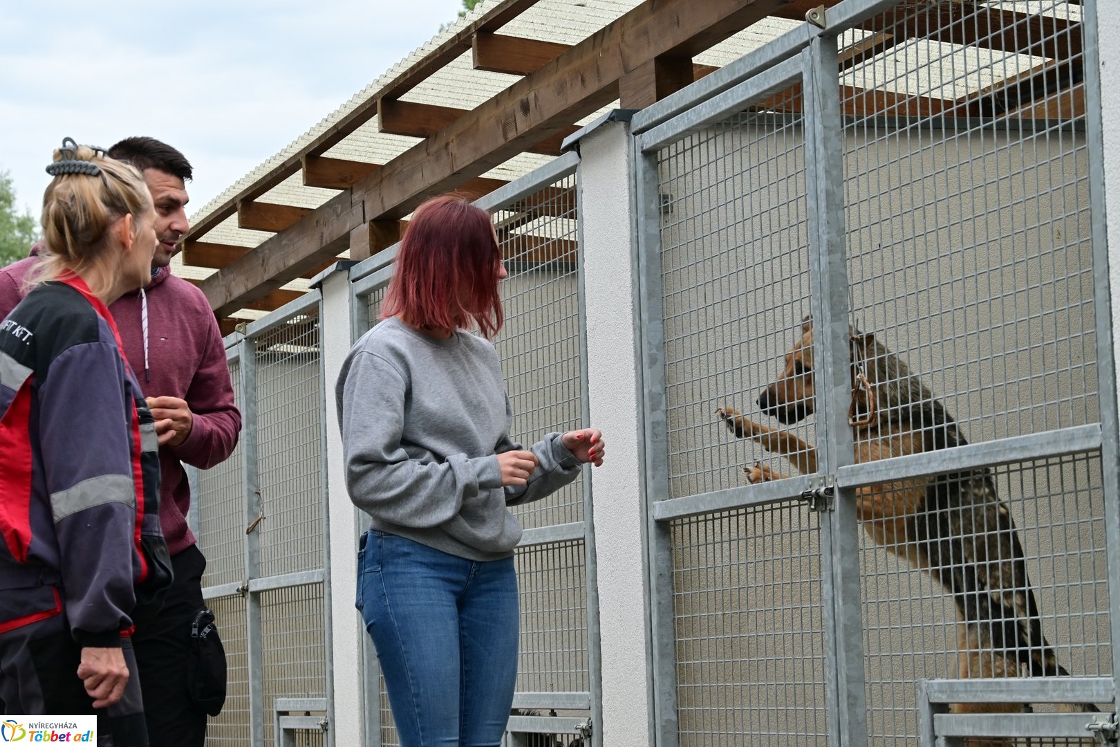 Örökbefogadási nap a gyepmesteri telepen 2025 júliusában