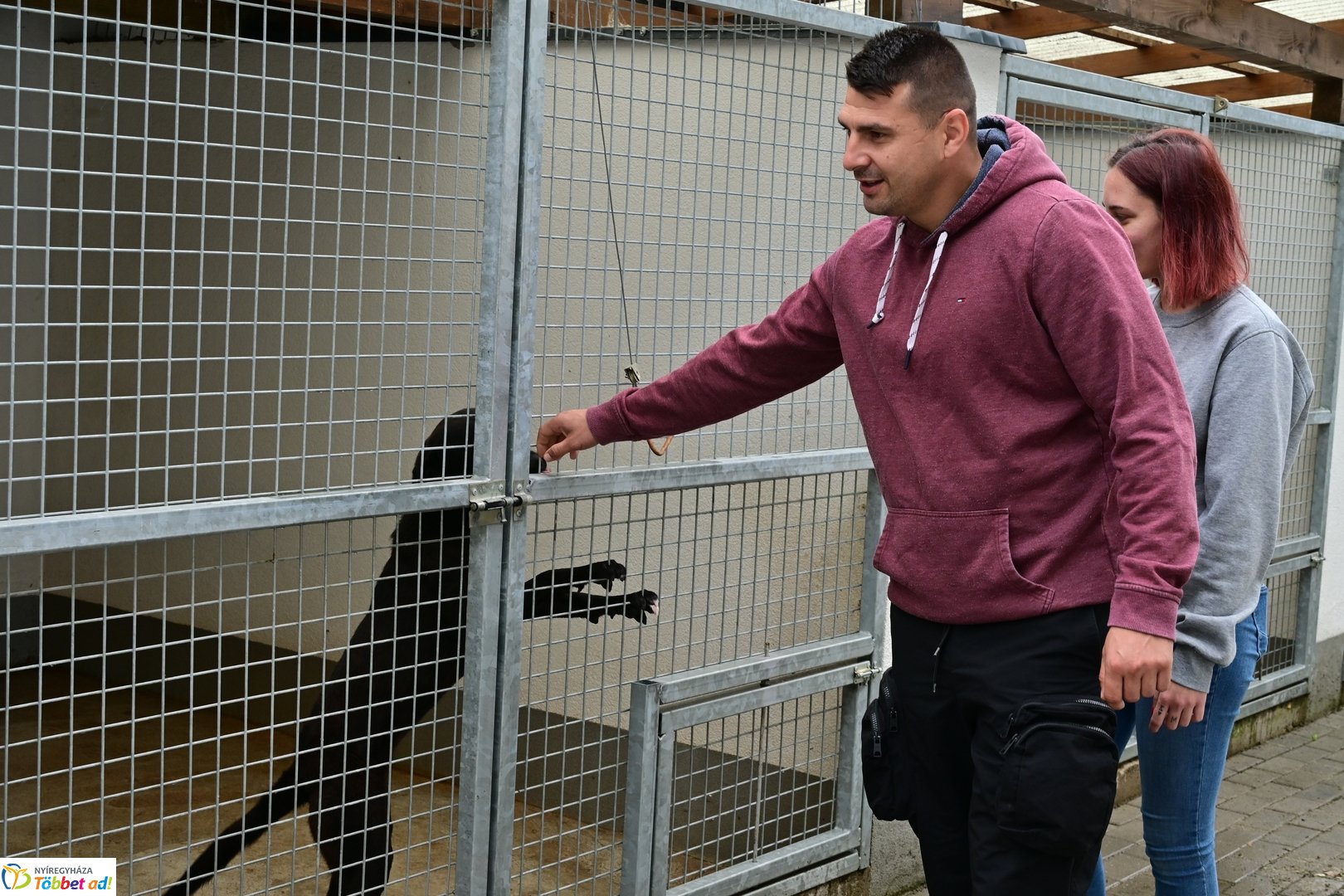 Örökbefogadási nap a gyepmesteri telepen 2025 júliusában