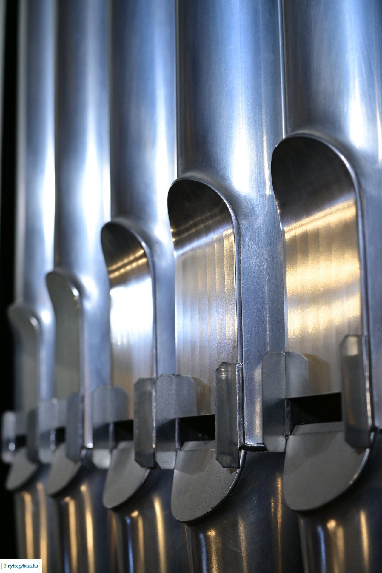 Örökváltság 200  -  2024