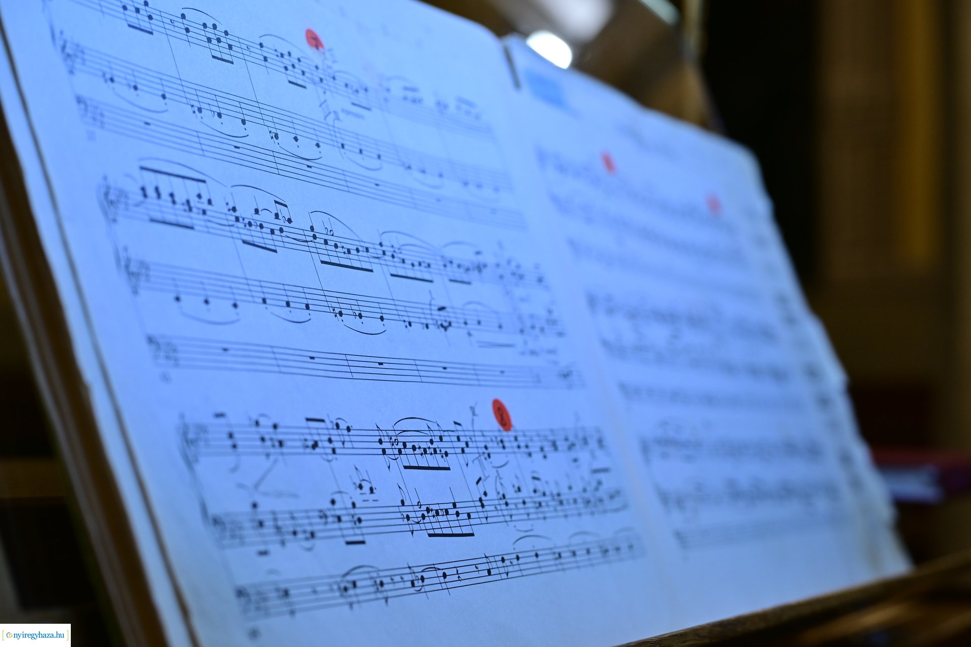 Örökváltság 200  -  2024