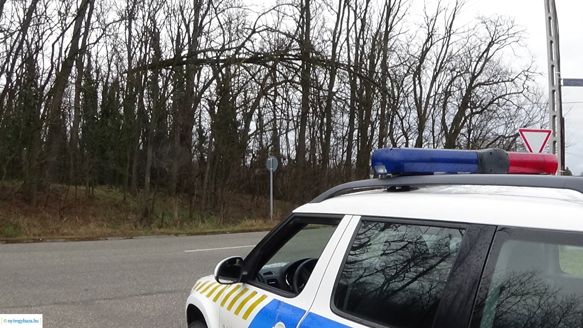 Oroson távolítottak el egy balesetveszélyes fát a NYÍRVV munkatársai