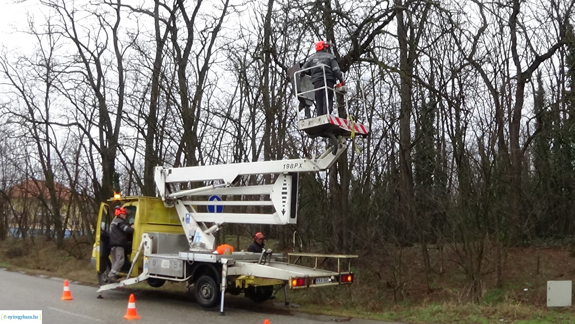 Oroson távolítottak el egy balesetveszélyes fát a NYÍRVV munkatársai