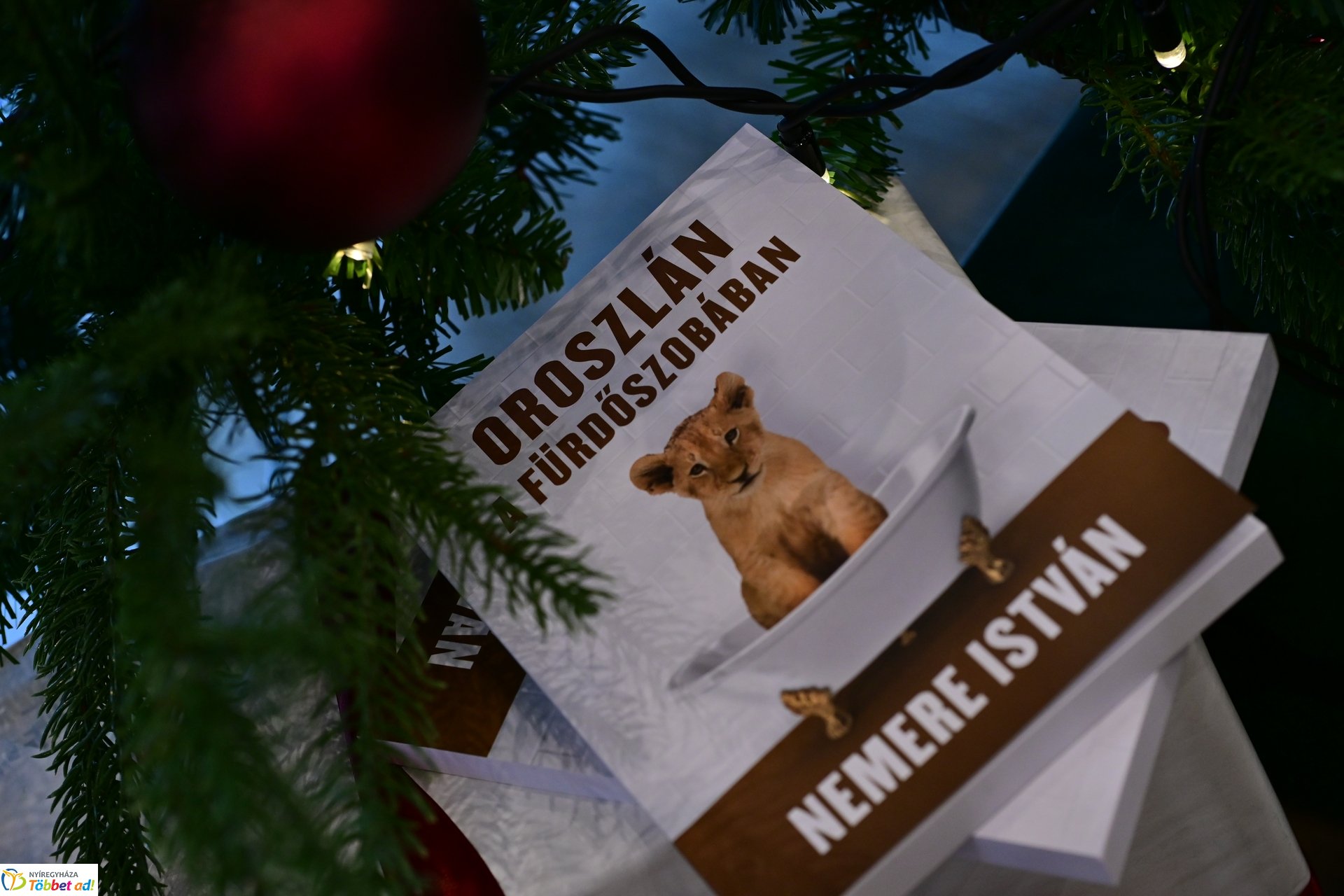 Oroszlán a fürdőszobában - kötetbemutató a Hotel Pangeában