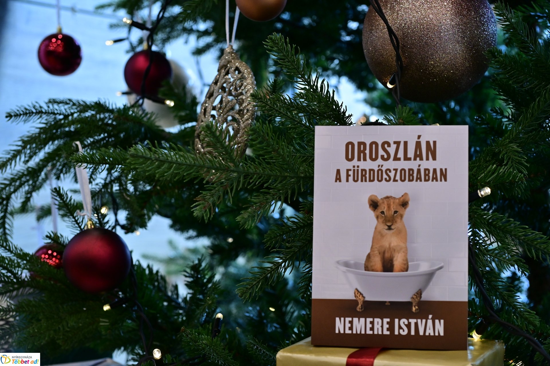 Oroszlán a fürdőszobában - kötetbemutató a Hotel Pangeában