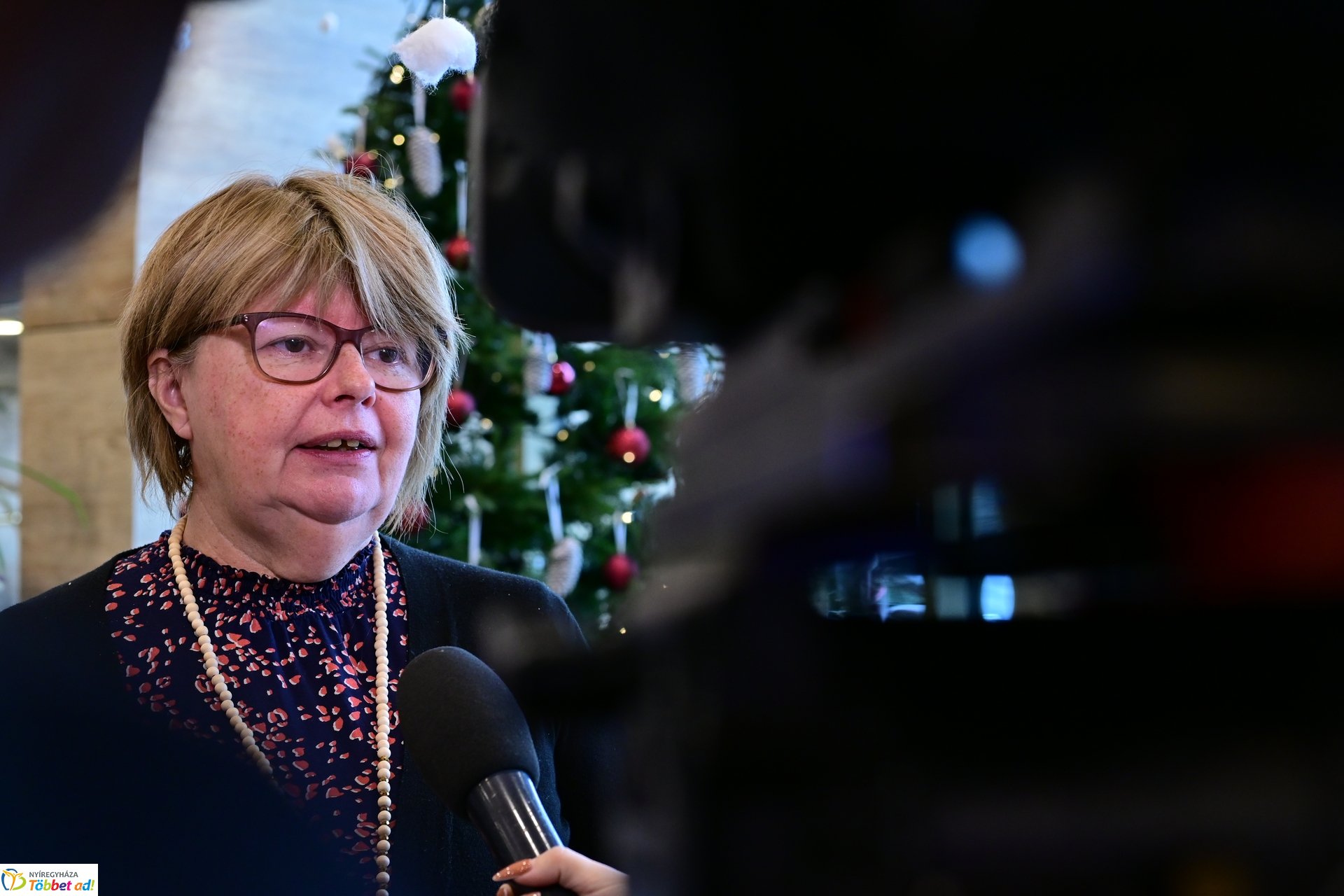 Oroszlán a fürdőszobában - kötetbemutató a Hotel Pangeában