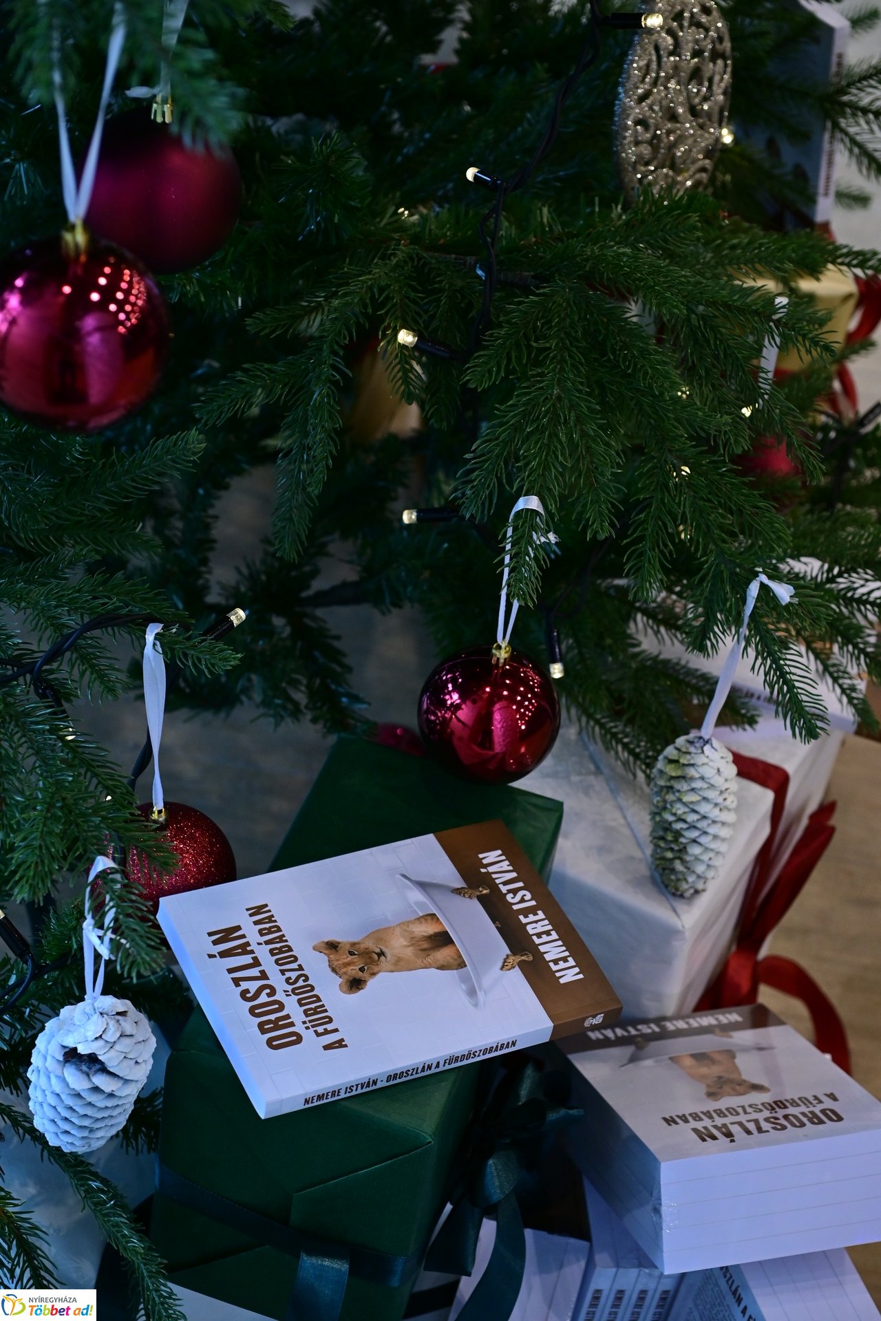 Oroszlán a fürdőszobában - kötetbemutató a Hotel Pangeában