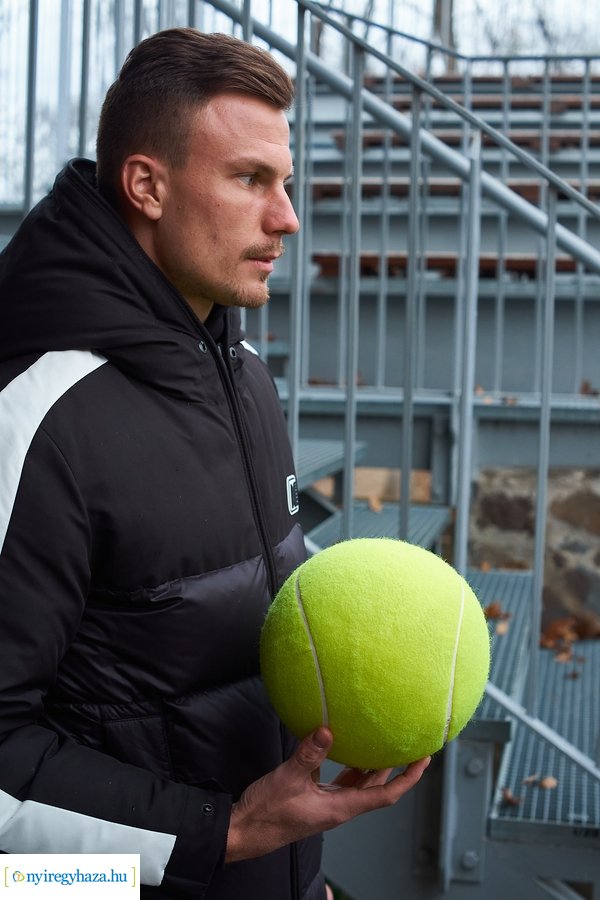 Oroszlánfóka örökbefogadás