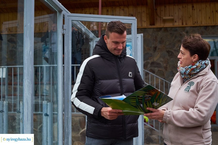 Oroszlánfóka örökbefogadás