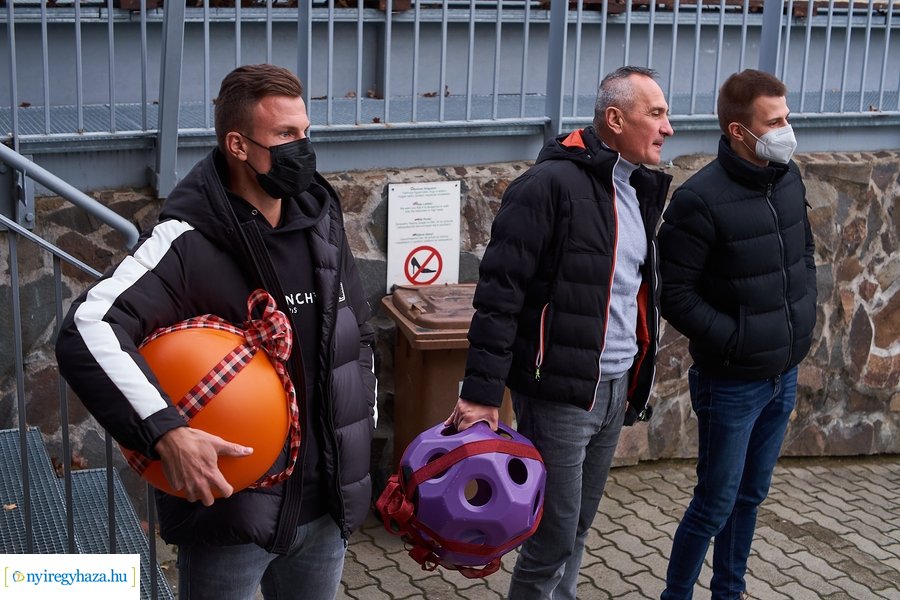 Oroszlánfóka örökbefogadás