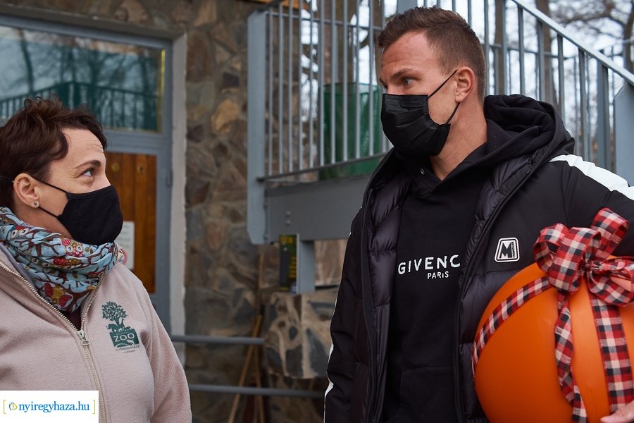 Oroszlánfóka örökbefogadás