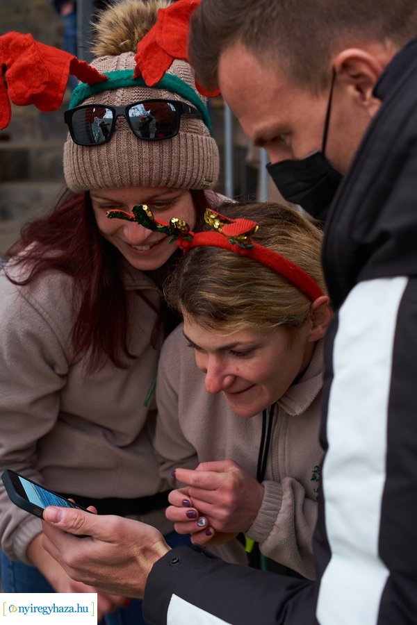 Oroszlánfóka örökbefogadás