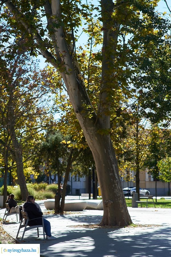 Őszi fények a belvárosban