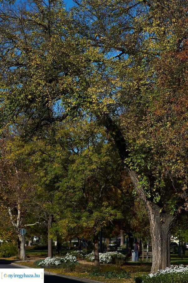 Őszi fények a belvárosban
