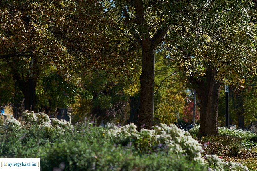 Őszi fények a belvárosban